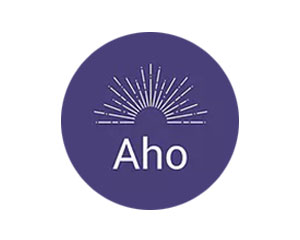 logo AHO Brasil